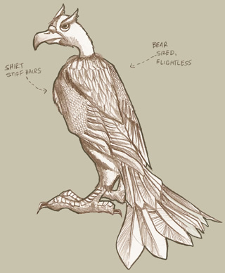 sun vulture