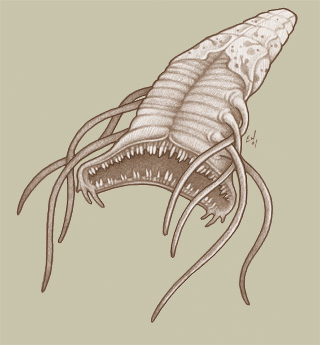 grave worm