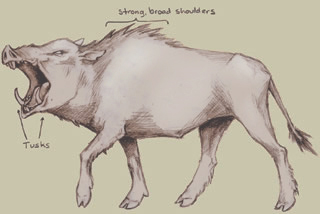 great boar