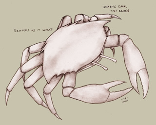 pale crab