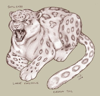 snow leopard